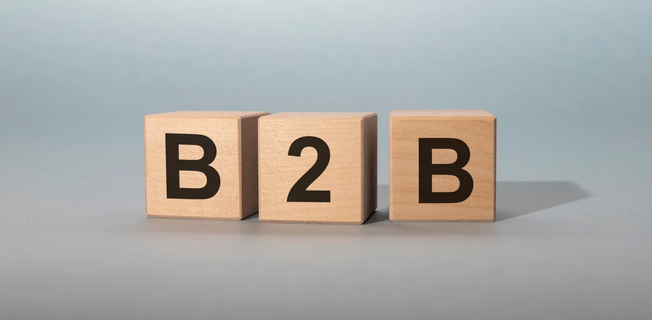 B2b nedir